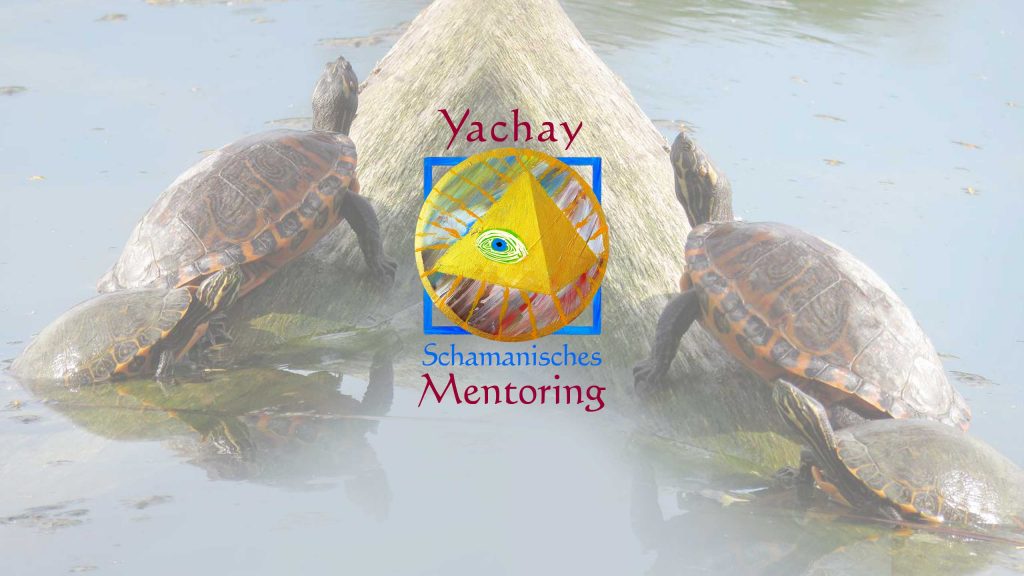 Yachay Schamanisches Mentoring