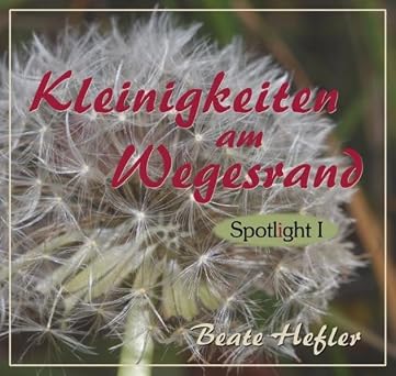 Kleinigkeiten am Wegesrand: Spotlight I von beate hefler